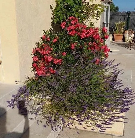 Sympa Meublé Avec Parking Privé Et Piscine Hébergement de vacances *