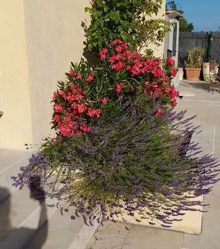 Sympa Meuble Avec Parking Prive Et Piscine Holiday home *